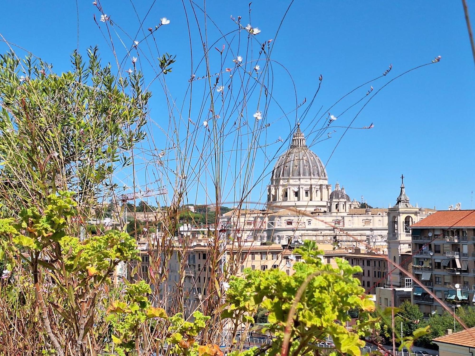 Delmirani'S Book Apartments - Vatican View Ρώμη Εξωτερικό φωτογραφία